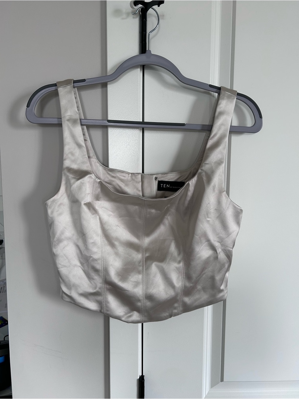 Aritzia Ten by Babaton Shine Satin Elevate Bustier Champagne Silver Crop Top